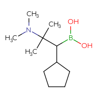 C11H24BNO2