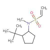 Chemical structure of N-(2-tert-butylcyclopentyl)-N-methylethene-1-sulfonamide - CSMB06601060029