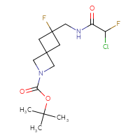 Chemical structure of tert-butyl 6-[(2-chloro-2-fluoroacetamido)methyl]-6-fluoro-2-azaspiro[3.3]heptane-2-carboxylate - CSSB21332123114