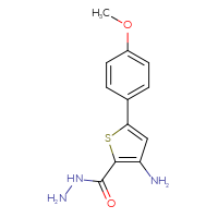 Chemical structure of 3-amino-5-(4-methoxyphenyl)thiophene-2-carbohydrazide - CSSB00000705532