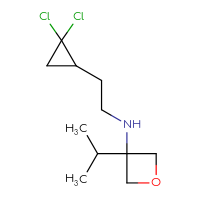 C11H19Cl2NO