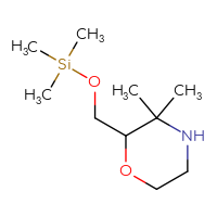 C10H23NO2Si