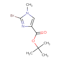 Chemical structure of tert-butyl 2-bromo-1-methyl-1H-imidazole-4-carboxylate - CSSB00020330115
