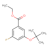 Chemical structure of ethyl 3-(tert-butoxy)-5-fluorobenzoate - CSSB15041254653