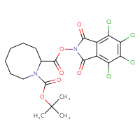 Chemical structure of 1-tert-butyl 2-(4,5,6,7-tetrachloro-1,3-dioxo-2,3-dihydro-1H-isoindol-2-yl) azocane-1,2-dicarboxylate - CSSB20270760556