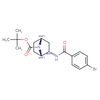 Chemical structure of rac-tert-butyl (1R,2R,4S)-2-(4-bromobenzamido)-7-azabicyclo[2.2.1]heptane-7-carboxylate - CSSB21432547683
