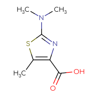 Chemical structure of 2-(dimethylamino)-5-methyl-1,3-thiazole-4-carboxylic acid - CSSB00013009839