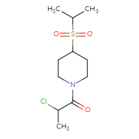 Chemical structure of 2-chloro-1-[4-(propane-2-sulfonyl)piperidin-1-yl]propan-1-one - CSMB00160539389