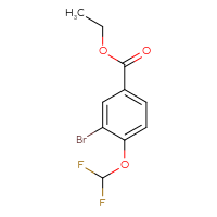 Chemical structure of ethyl 3-bromo-4-(difluoromethoxy)benzoate - CSSB00012360078