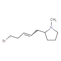 C10H18BrN