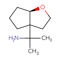 C10H19NO