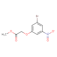 Chemical structure of methyl 2-(3-bromo-5-nitrophenoxy)acetate - CSSB00014046826