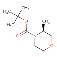 C10H19NO3