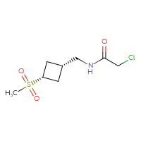 Chemical structure of 2-chloro-N-{[(1s,3s)-3-methanesulfonylcyclobutyl]methyl}acetamide - CSSB02129761736
