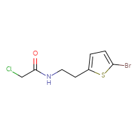 Chemical structure of N-[2-(5-bromothiophen-2-yl)ethyl]-2-chloroacetamide - CSSB00011198393