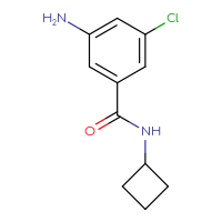 Chemical structure of 3-amino-5-chloro-N-cyclobutylbenzamide - CSSB00012941591