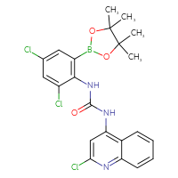 Chemical structure of 1-(2-chloroquinolin-4-yl)-3-[2,4-dichloro-6-(4,4,5,5-tetramethyl-1,3,2-dioxaborolan-2-yl)phenyl]urea - CSSB21332139387