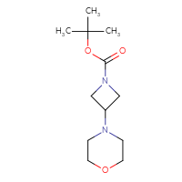 Chemical structure of tert-butyl 3-(morpholin-4-yl)azetidine-1-carboxylate - CSSB00010262068