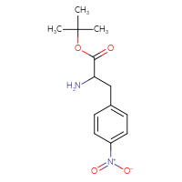 Chemical structure of tert-butyl 2-amino-3-(4-nitrophenyl)propanoate - CSSB00001913667