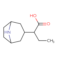 C11H19NO2