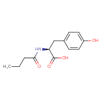 Chemical structure of (2S)-2-butanamido-3-(4-hydroxyphenyl)propanoic acid - CSSB00000822407