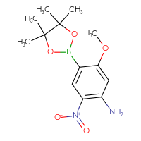 C13H19BN2O5