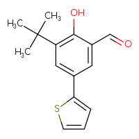 Chemical structure of 3-tert-butyl-2-hydroxy-5-(thiophen-2-yl)benzaldehyde - CSSB06583394207