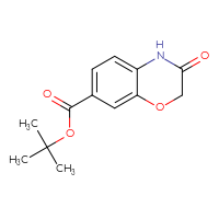 Chemical structure of tert-butyl 3-oxo-3,4-dihydro-2H-1,4-benzoxazine-7-carboxylate - CSSB00001319098