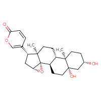 C24H32O5