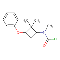 Chemical structure of N-(2,2-dimethyl-3-phenoxycyclobutyl)-N-methylcarbamoyl chloride - CSSB21224764147