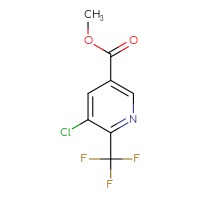 C8H5ClF3NO2