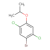 C9H9BrCl2O