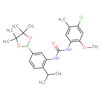 Chemical structure of 3-(4-chloro-2-methoxy-5-methylphenyl)-1-[2-(propan-2-yl)-5-(4,4,5,5-tetramethyl-1,3,2-dioxaborolan-2-yl)phenyl]urea - CSSB21332085134