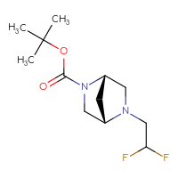 Chemical structure of tert-butyl (1S,4S)-5-(2,2-difluoroethyl)-2,5-diazabicyclo[2.2.1]heptane-2-carboxylate - CSSB00113821397