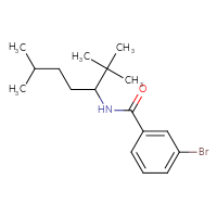 Chemical structure of 3-bromo-N-(2,2,6-trimethylheptan-3-yl)benzamide - CSSB21432459967