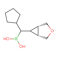 C11H19BO3