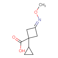 C9H13NO3