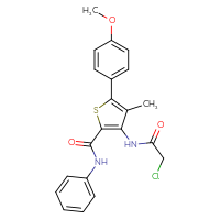 Chemical structure of 3-(2-chloroacetamido)-5-(4-methoxyphenyl)-4-methyl-N-phenylthiophene-2-carboxamide - CSSB21444811605