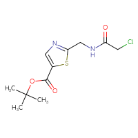 Chemical structure of tert-butyl 2-[(2-chloroacetamido)methyl]-1,3-thiazole-5-carboxylate - CSSB21332082781