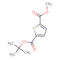 Chemical structure of 2-tert-butyl 5-methyl thiophene-2,5-dicarboxylate - CSSB14869056222