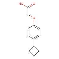 Chemical structure of 2-(4-cyclobutylphenoxy)acetic acid - CSSB06805156969