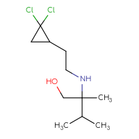 C11H21Cl2NO