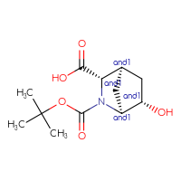C12H19NO5
