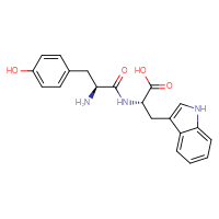 Chemical structure of (2S)-2-[(2S)-2-amino-3-(4-hydroxyphenyl)propanamido]-3-(1H-indol-3-yl)propanoic acid - CSSB00000745641