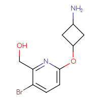C10H13BrN2O2