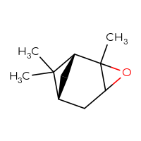 C10H16O