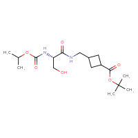 Chemical structure of tert-butyl 3-{[(2S)-3-hydroxy-2-{[(propan-2-yloxy)carbonyl]amino}propanamido]methyl}cyclobutane-1-carboxylate - CSSB21432535053