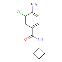 Chemical structure of 4-amino-3-chloro-N-cyclobutylbenzamide - CSSB00012056278