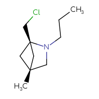 C10H18ClN