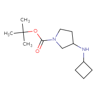 Chemical structure of tert-butyl 3-(cyclobutylamino)pyrrolidine-1-carboxylate - CSSB00011787722